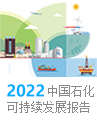 2022年可持續(xù)發(fā)展報告