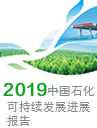 2019年可持續(xù)發(fā)展進展報告